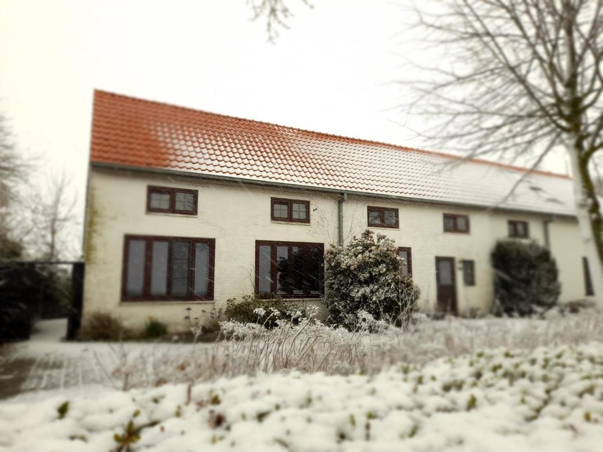 Klakbaan 14 Villa IJzendijke Eksteriør billede