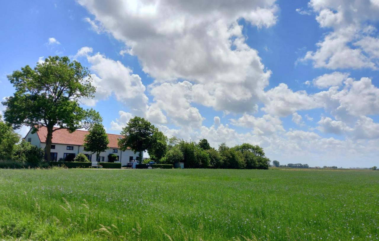 Klakbaan 14 Villa IJzendijke Eksteriør billede